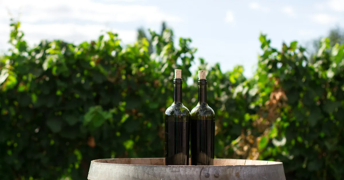 Développement d'Application de Gestion de Cave à Vin pour Collectionneurs